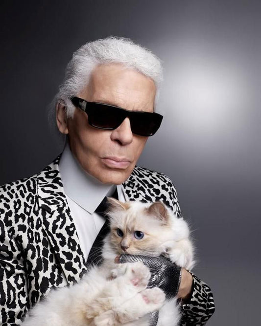 Interview: Choupette - Life after Karl